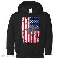 American Horse Racing Flag Toddler Hoodie thumb 0