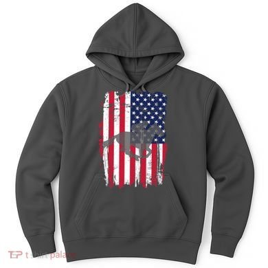 American Horse Racing Flag Hoodie