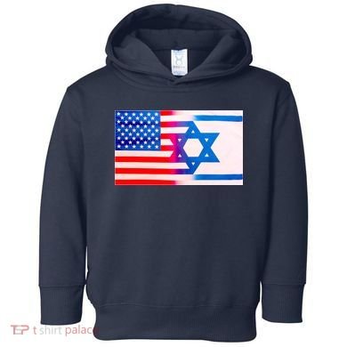 American Israel Flag Toddler Hoodie