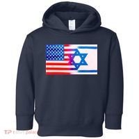 American Israel Flag Toddler Hoodie thumb 0