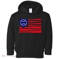 American League Baseball Flag Toddler Hoodie thumb 0