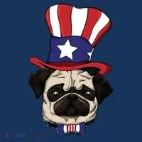 American Patriotic Pug Women's Hoodie thumb 2