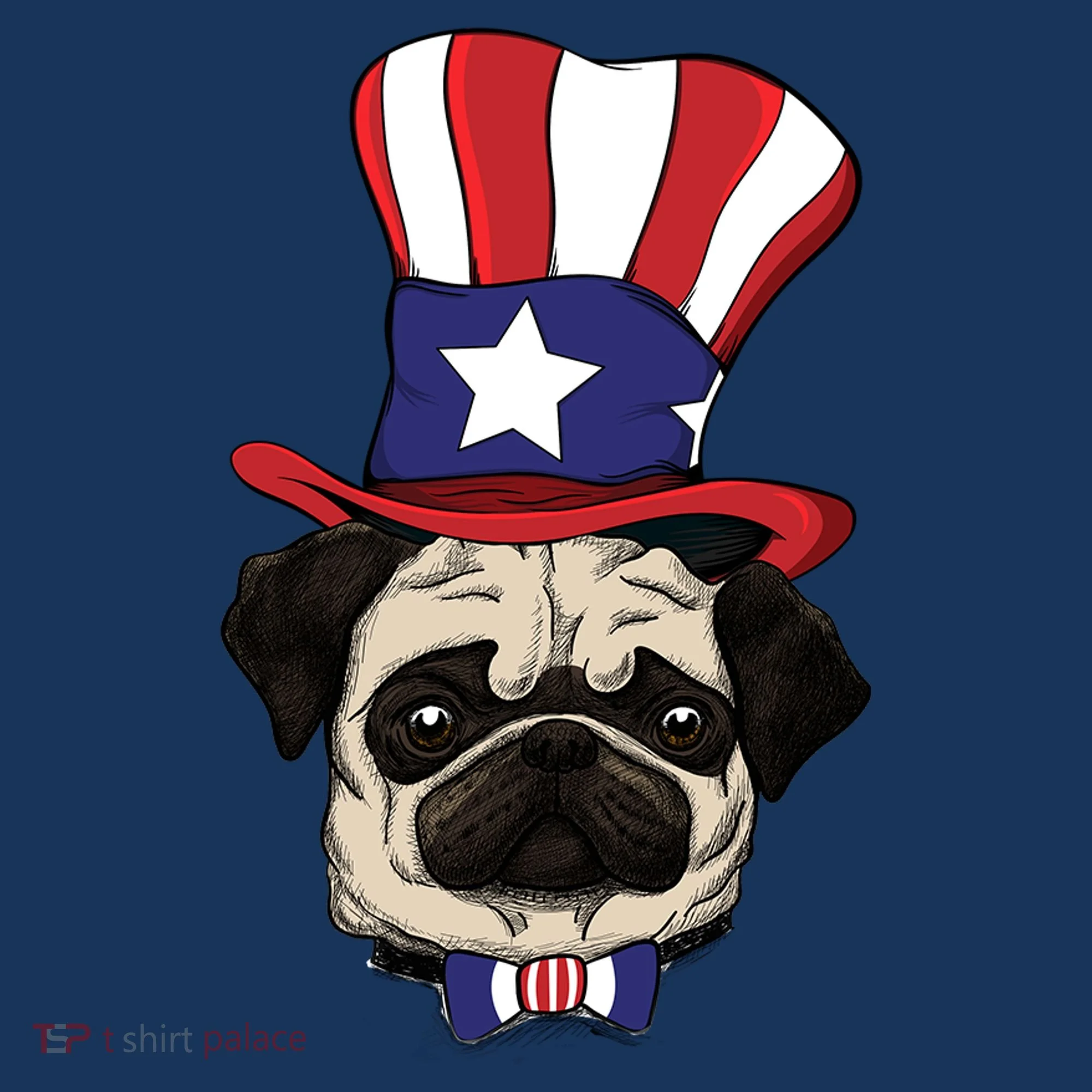 American Patriotic Pug Kids Sweatshirt