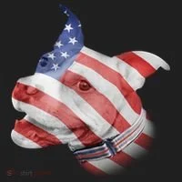 American Pitbull Women's Sweatshirt thumb 2