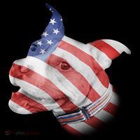 American Pitbull Women's Long Sleeve Shirt thumb 2