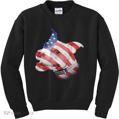 American Pitbull Kids Sweatshirt