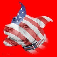 American Pitbull Santa Hat thumb 1