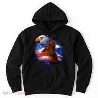 American Pride Soaring Eagle USA Hoodie thumb 0