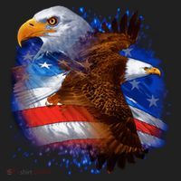 American Pride Soaring Eagle USA Beanie thumb 2