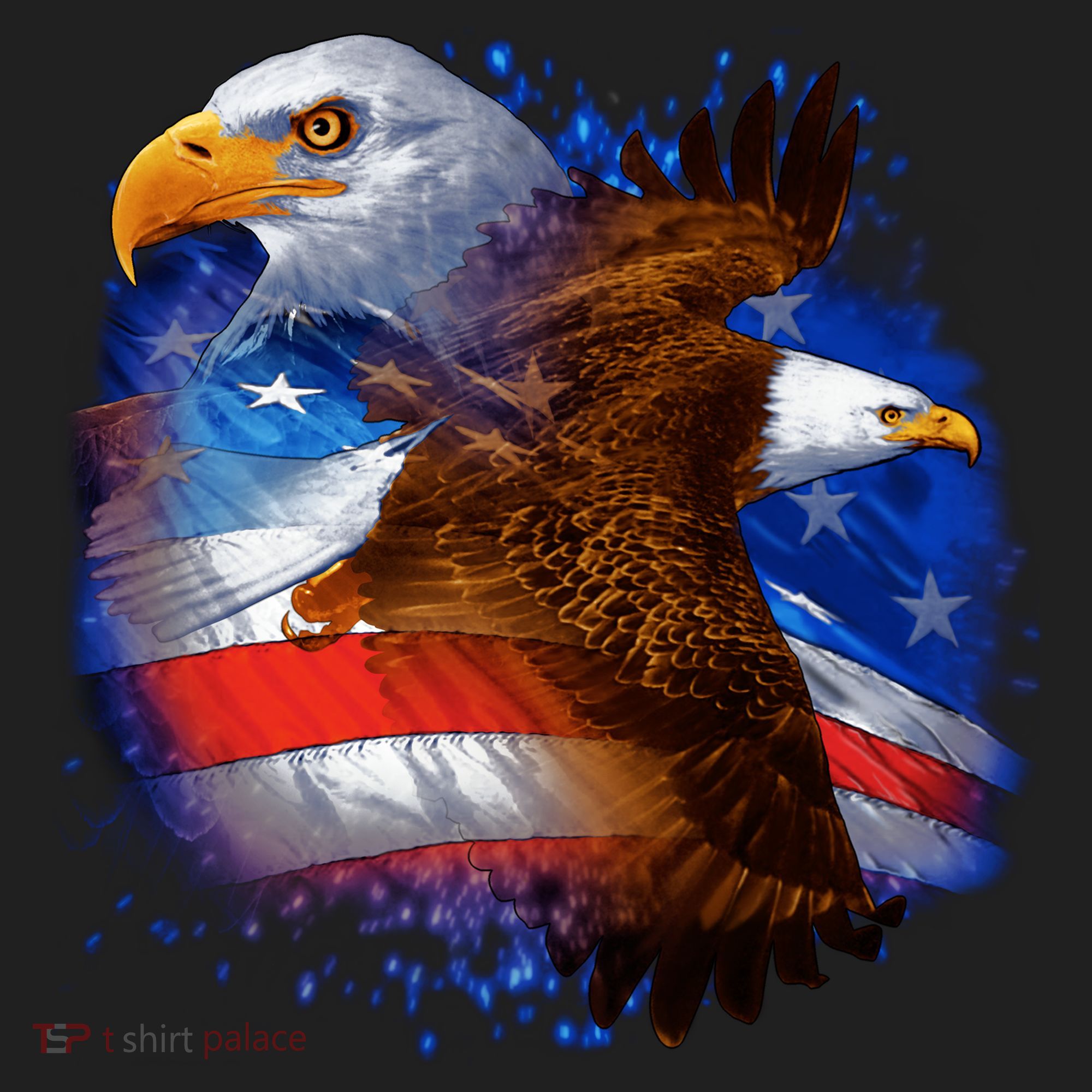 American Pride Soaring Eagle USA Beanie
