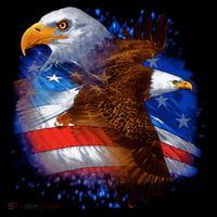 American Pride Soaring Eagle USA Coaster thumb 2