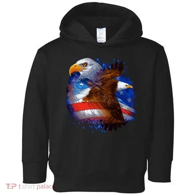 American Pride Soaring Eagle USA Toddler Hoodie