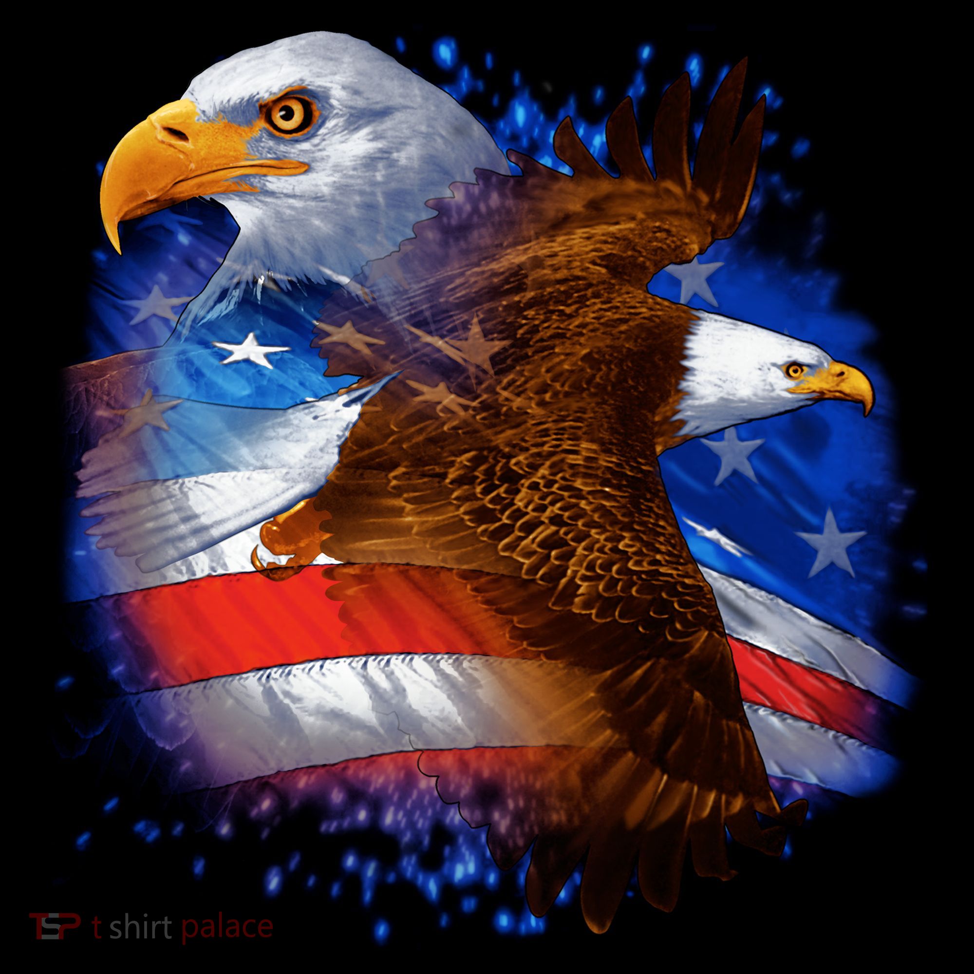 American Pride Soaring Eagle USA Kids Long Sleeve Shirt