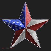 American Star Tumbler thumb 3