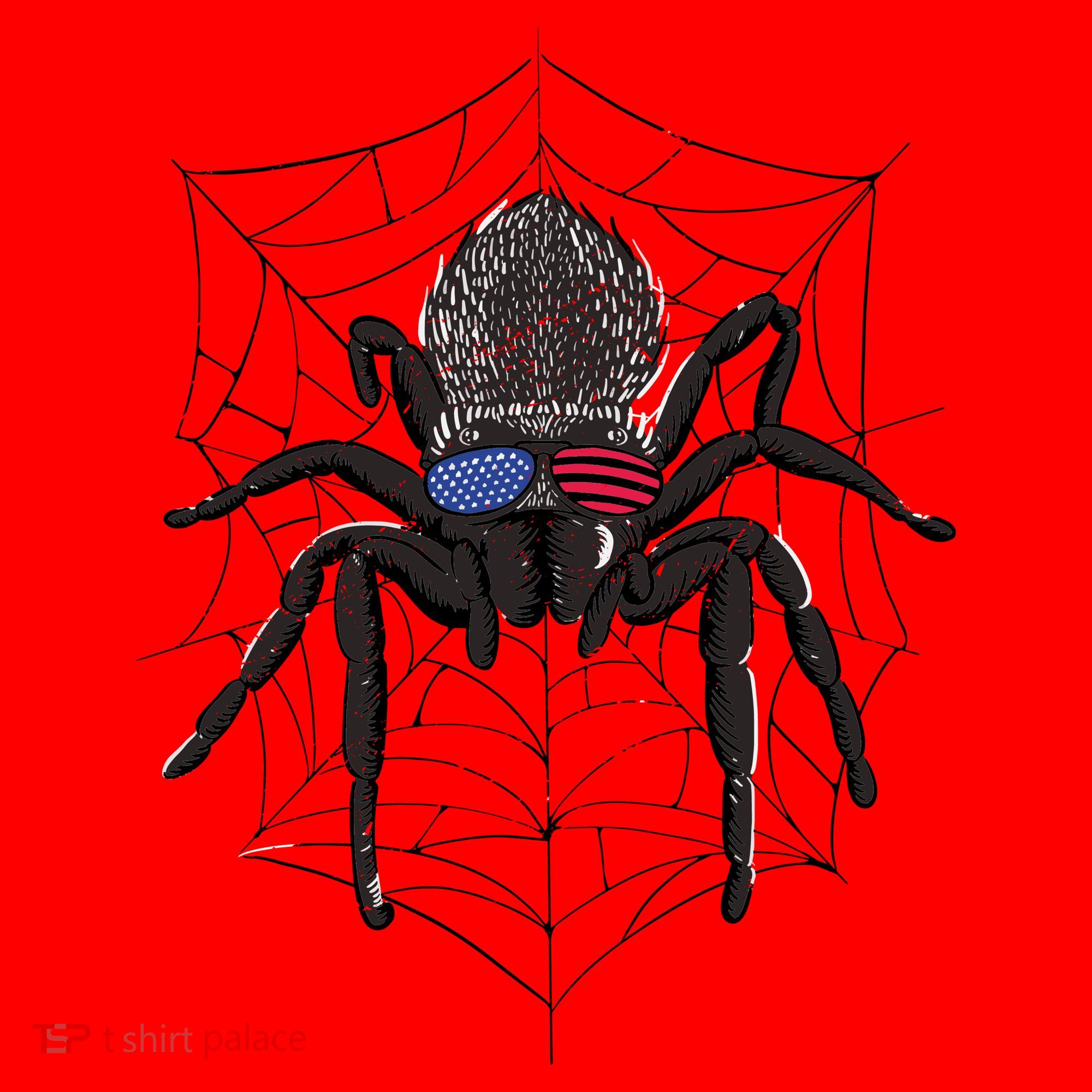 American Tarantula Spider Santa Hat