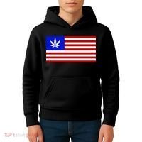 American USA Weed Flag Kids Hoodie thumb 4