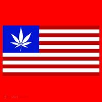 American USA Weed Flag Santa Hat thumb 1
