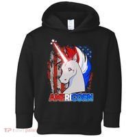 Americorn Unicorn Flag Toddler Hoodie thumb 0