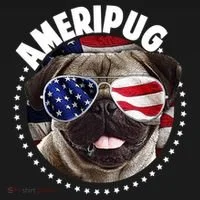 Ameripug Toddler T-Shirt thumb 4