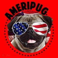 Ameripug Santa Hat thumb 1