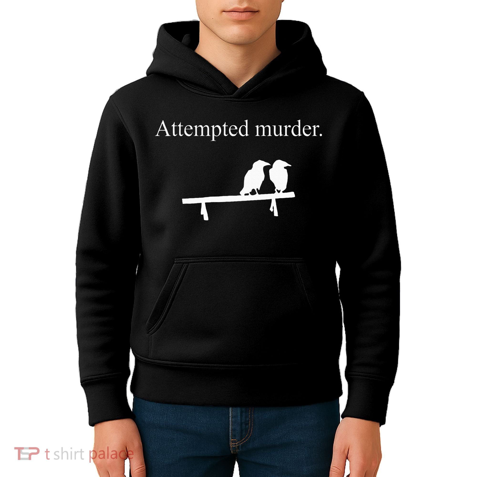Attempted Murder Funny Sarcasm Crows Ornithology Kids Hoodie