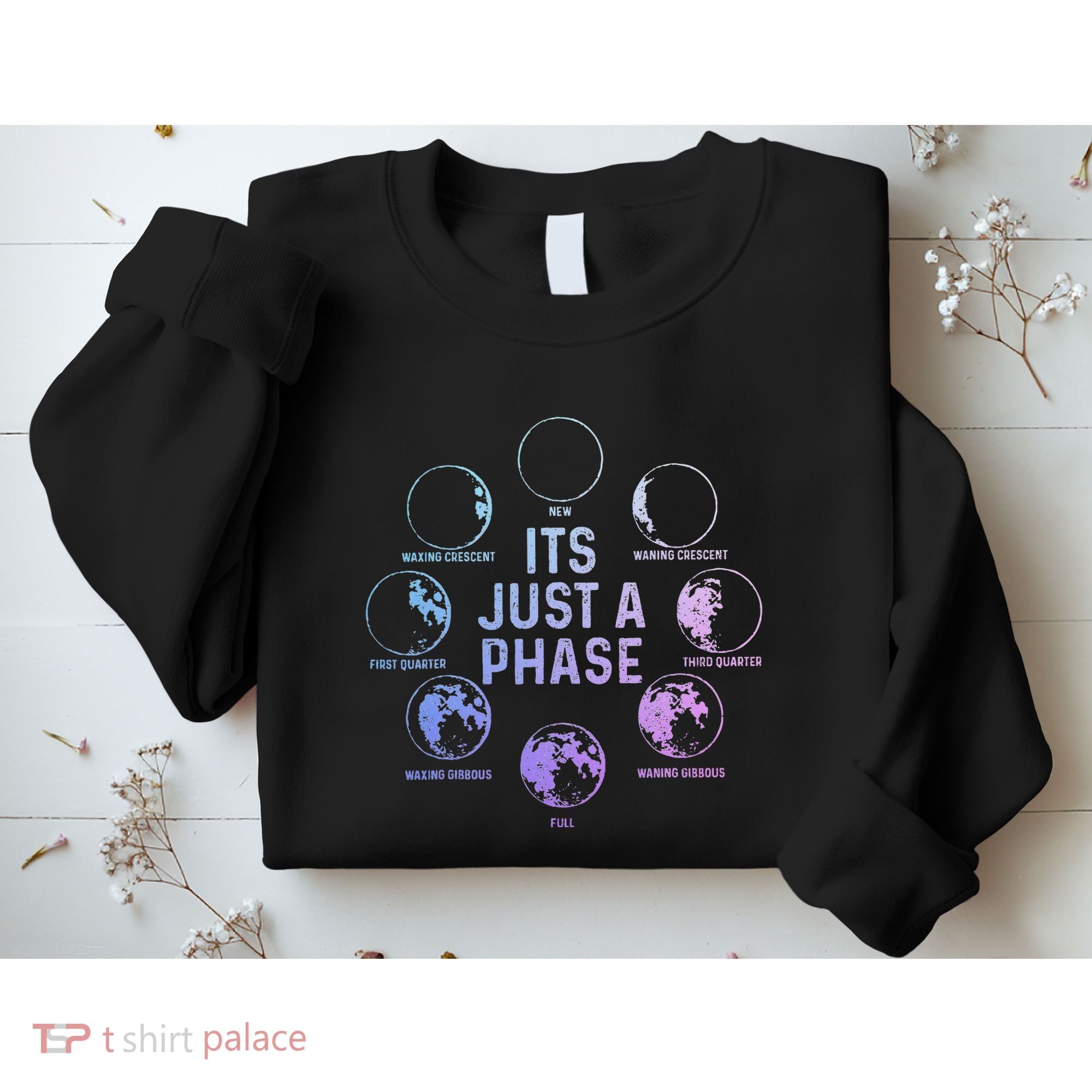 Astronomy Moon ItS Just A Phase Funny Astronomer Sweatshirt