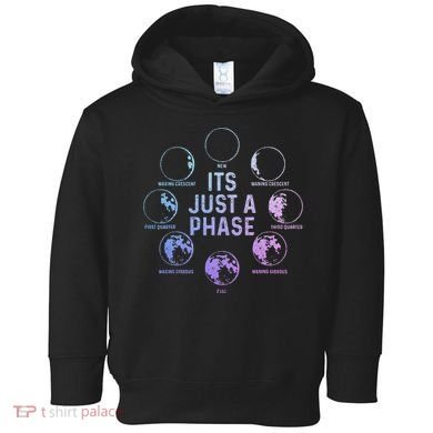 Astronomy Moon ItS Just A Phase Funny Astronomer Toddler Hoodie