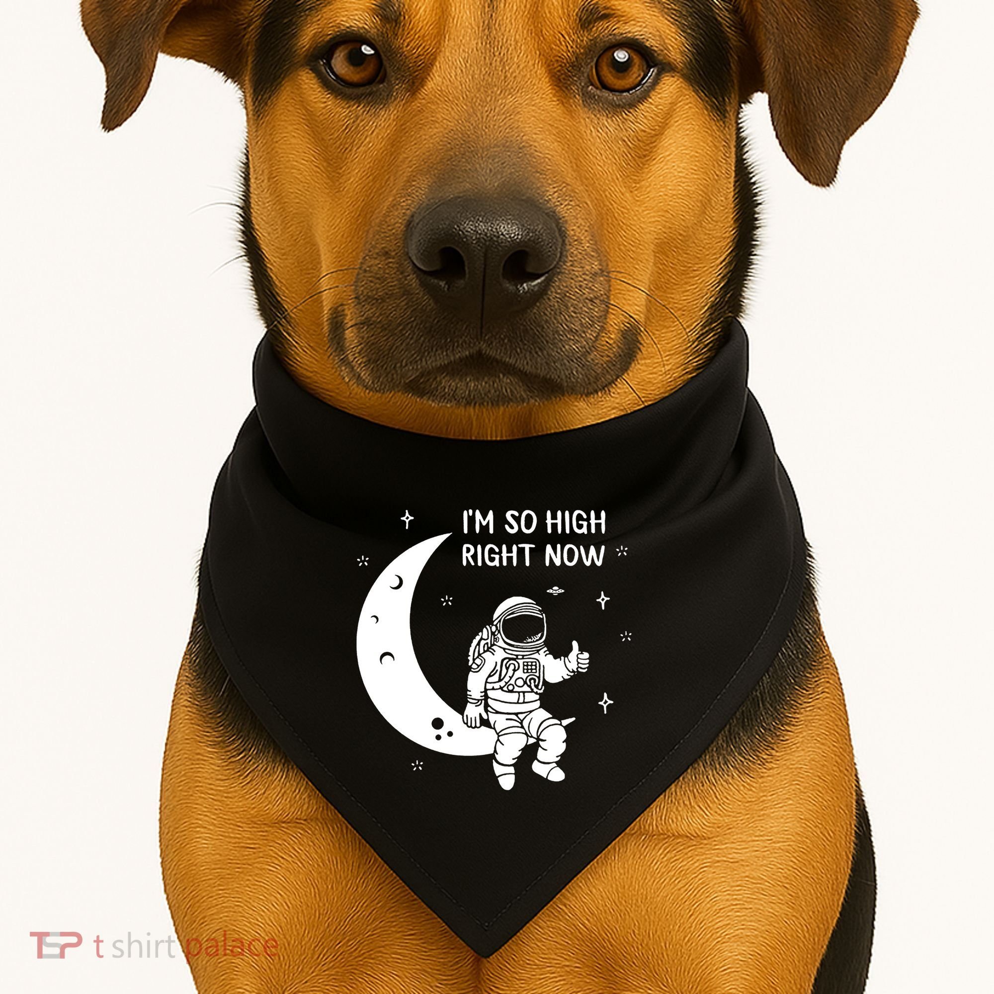 Astronaut Moon Im So High Right Now USA-Made Doggie Bandana