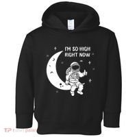 Astronaut Moon Im So High Right Now Toddler Hoodie thumb 0