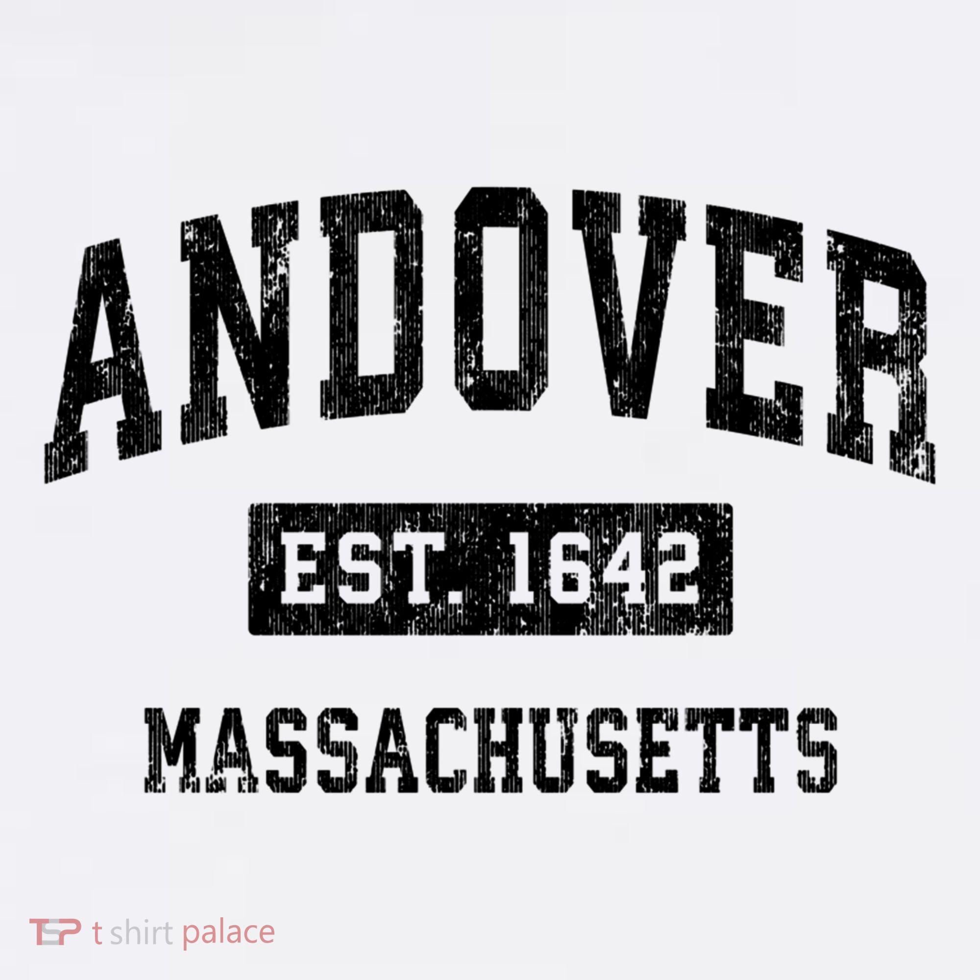 Andover Massachusetts MA Vintage Sports Print T-Shirt