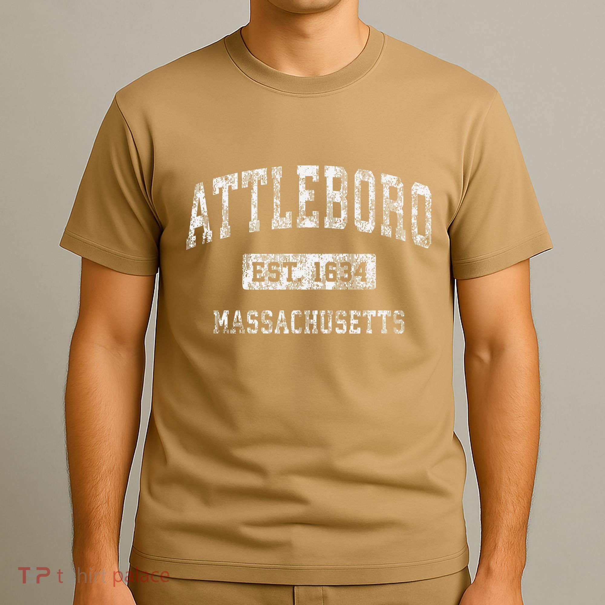 Attleboro Massachusetts Ma Vintage Established T-Shirt