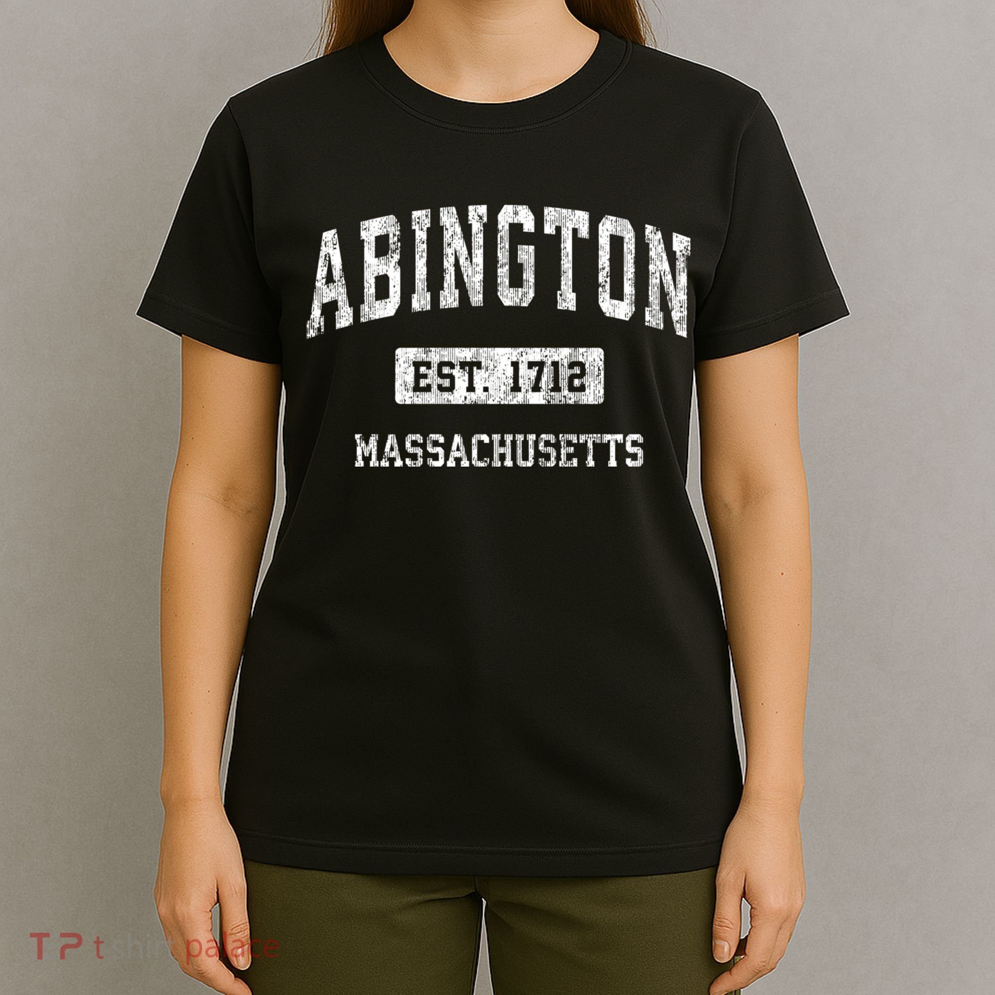 Abington Massachusetts Ma Vintage Sports Established T-Shirt