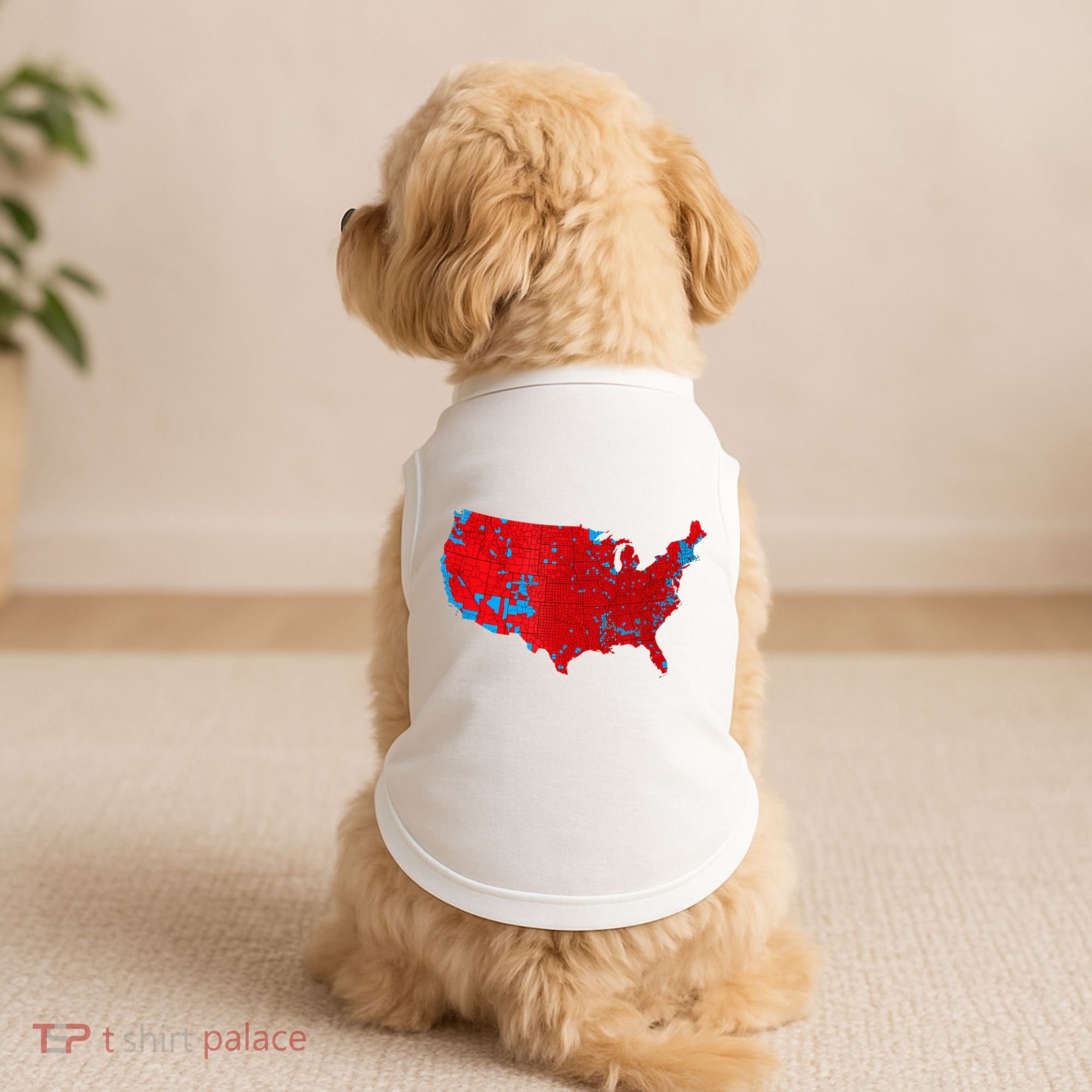 Accurate Map Of 2024 Election Results Doggie Tank