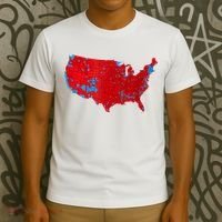 Accurate Map Of 2024 Election Results T-Shirt thumb 3