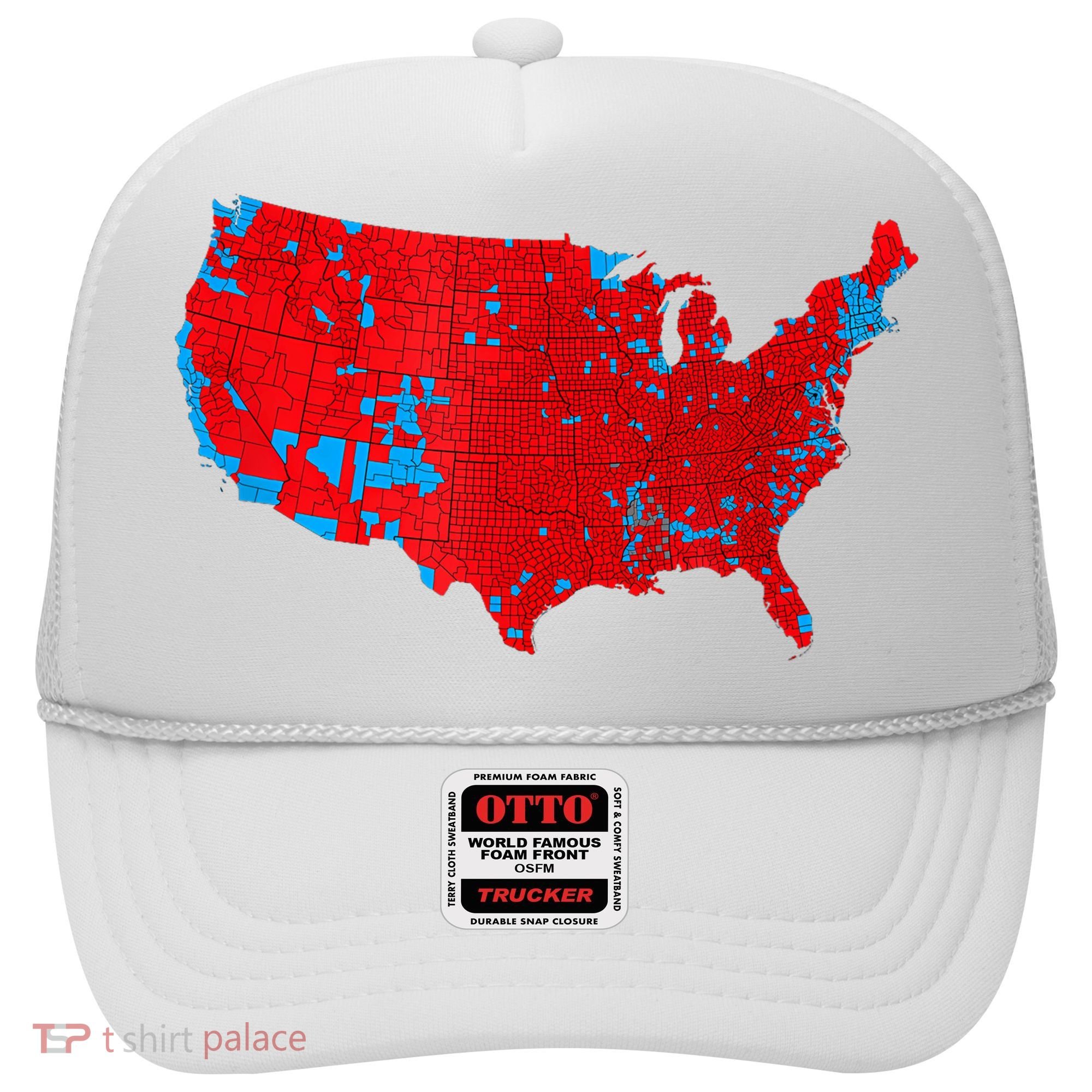 Accurate Map Of 2024 Election Results Hat