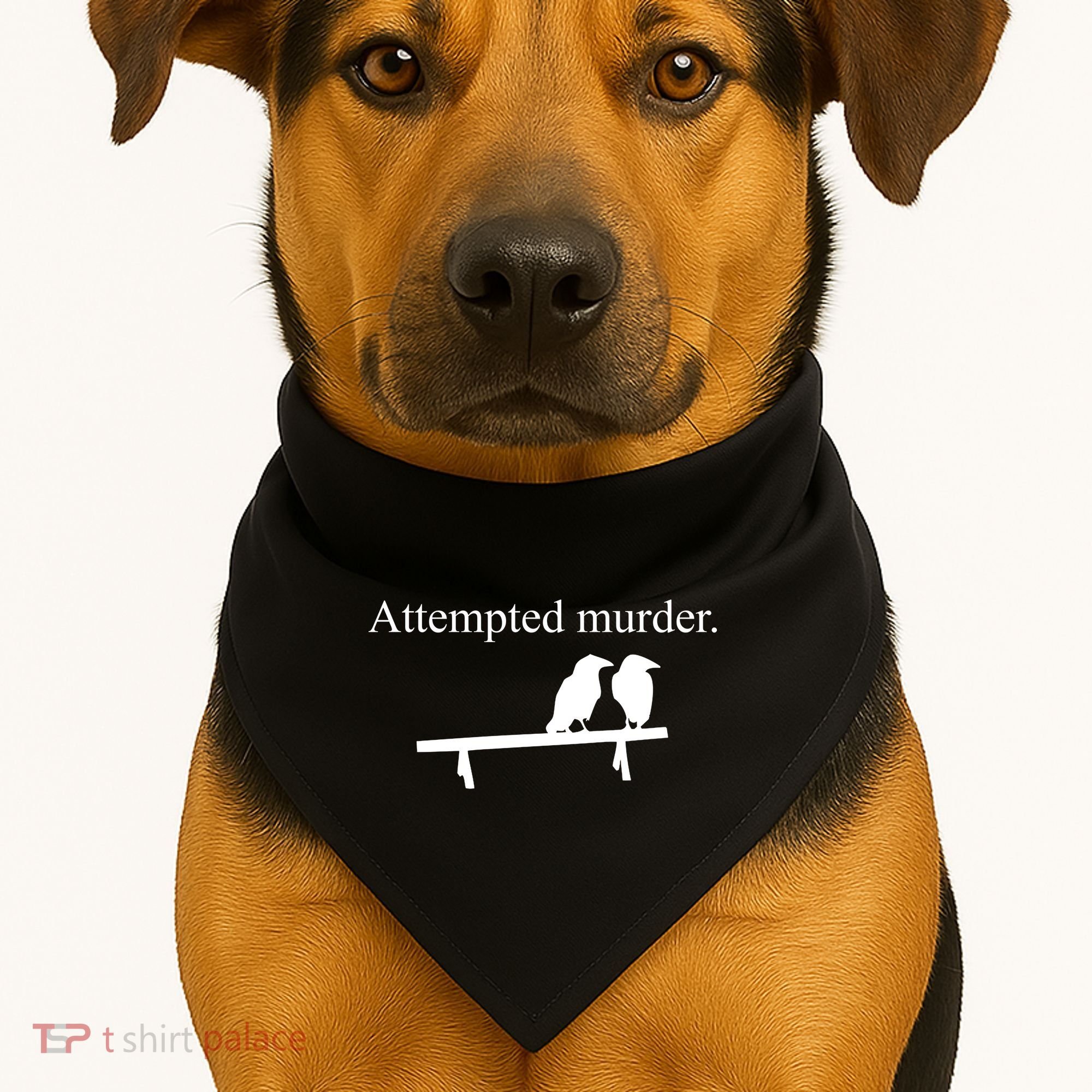 Attempted Murder Of Crows Funny USA-Made Doggie Bandana