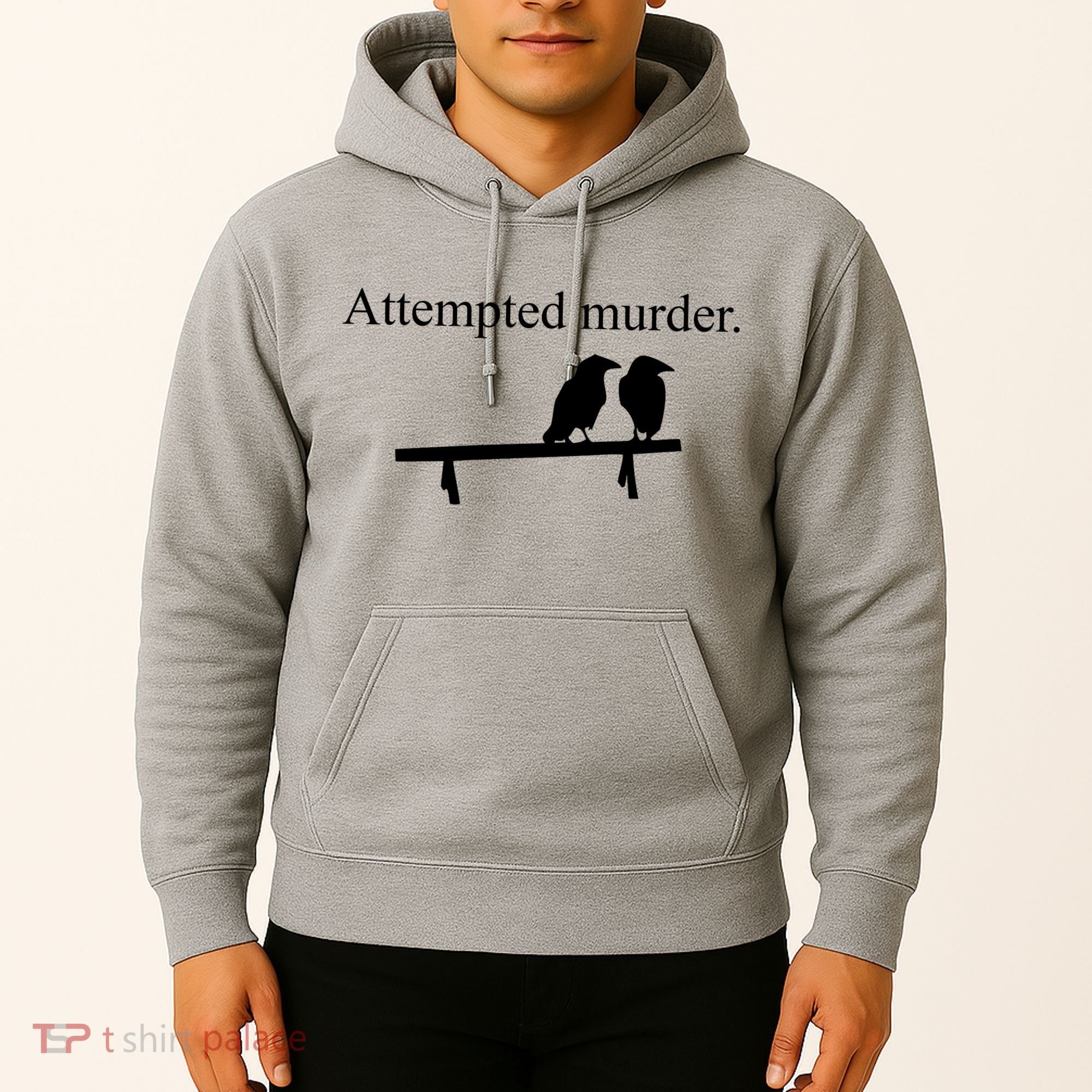 Attempted Murder Of Crows Funny Hoodie