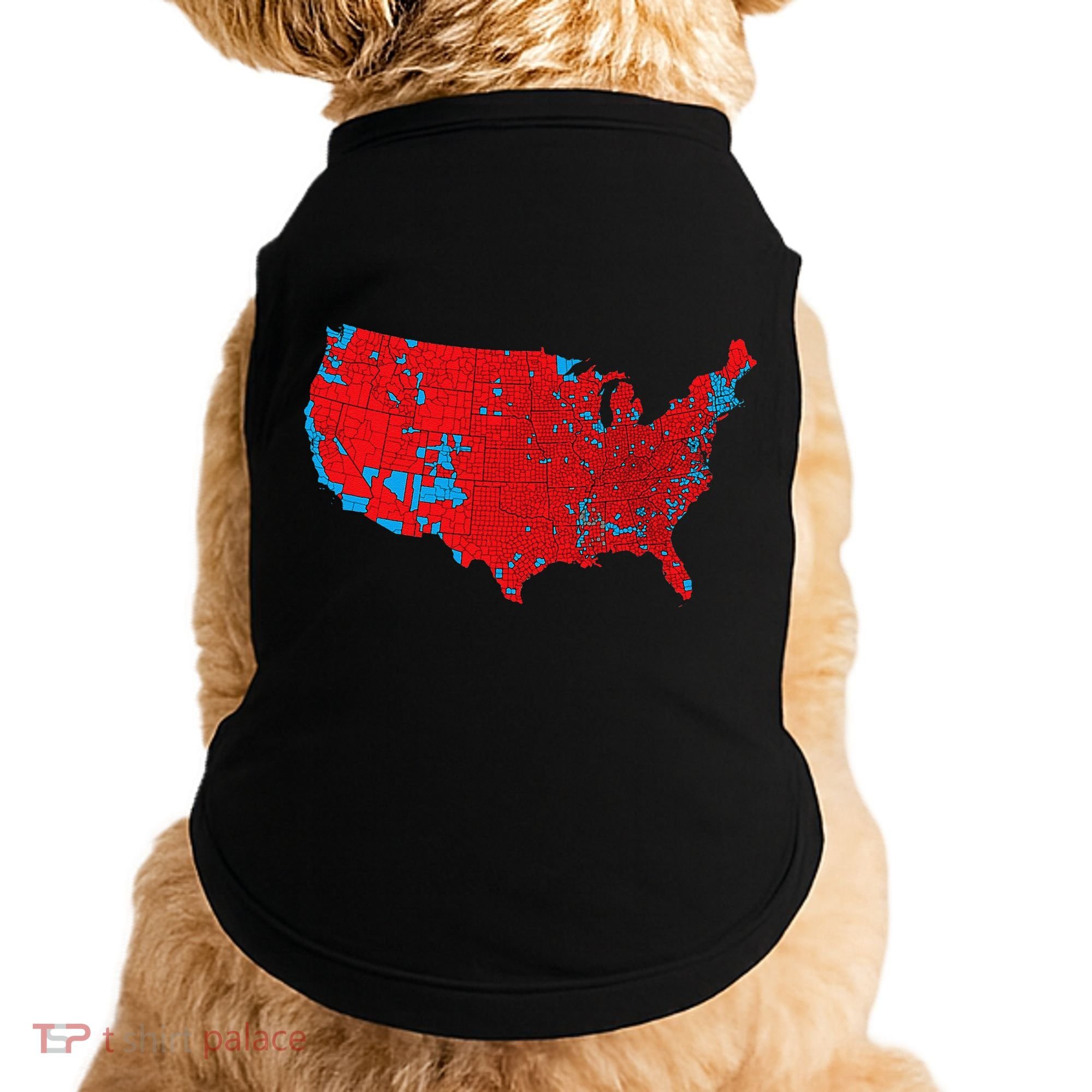 Accurate Map Of 2024 Election Results Doggie Tank