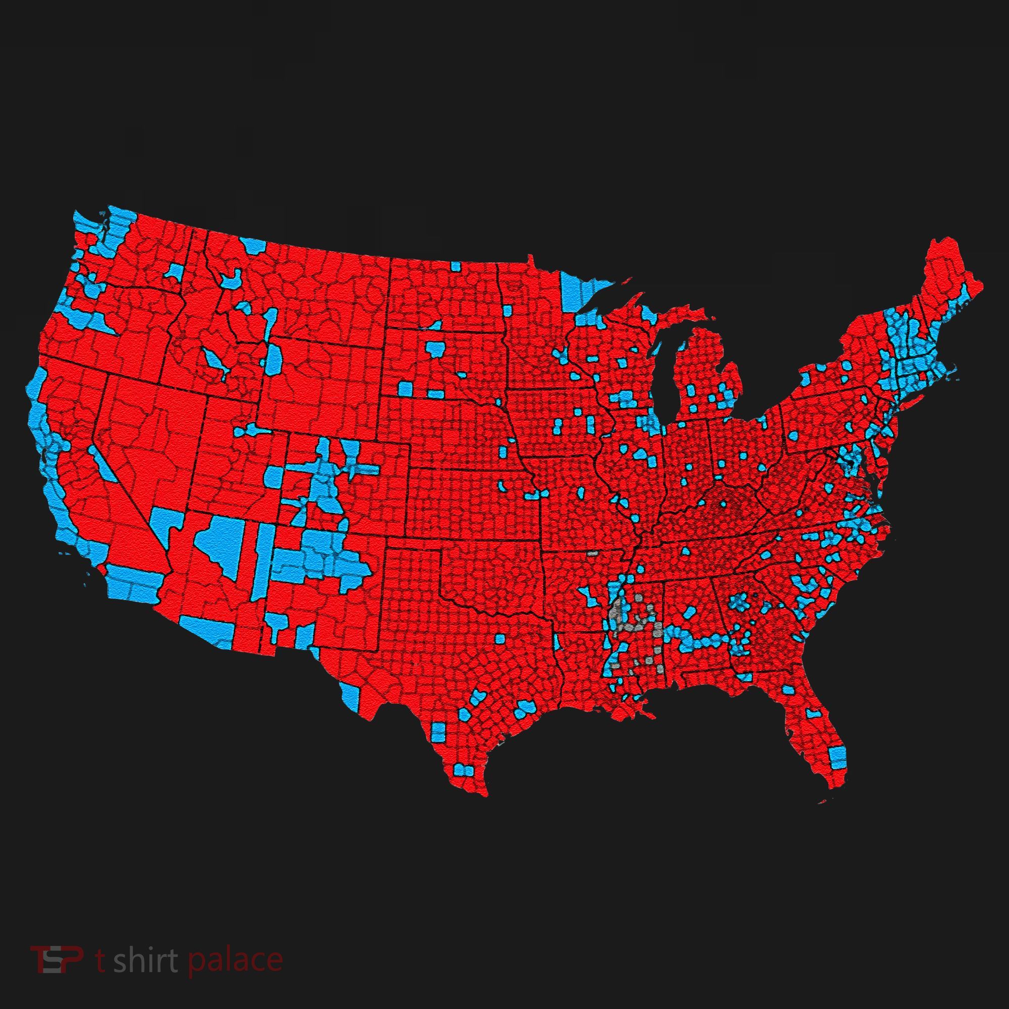 Accurate Map Of 2024 Election Results Coaster