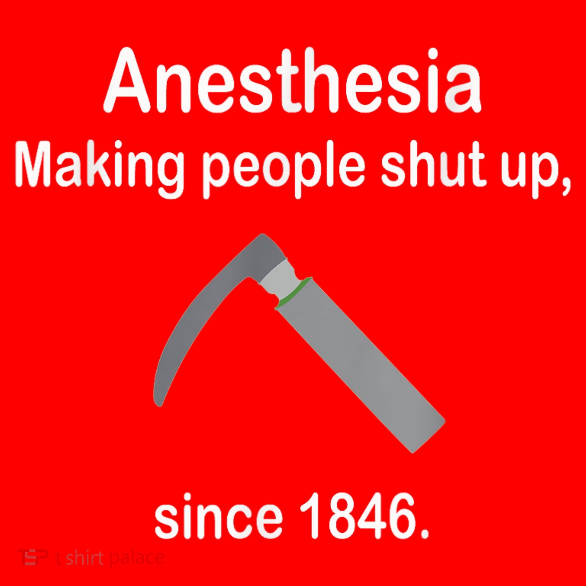 Anesthesia Making People Shut Up Since 1846 Funny Anesthesia Santa Hat
