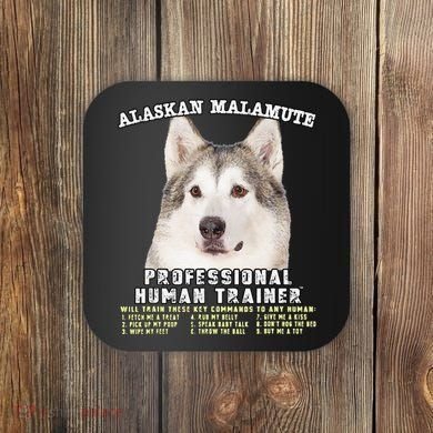 Alaskan Malamute Professional Human Trainer Cute Dog Coaster