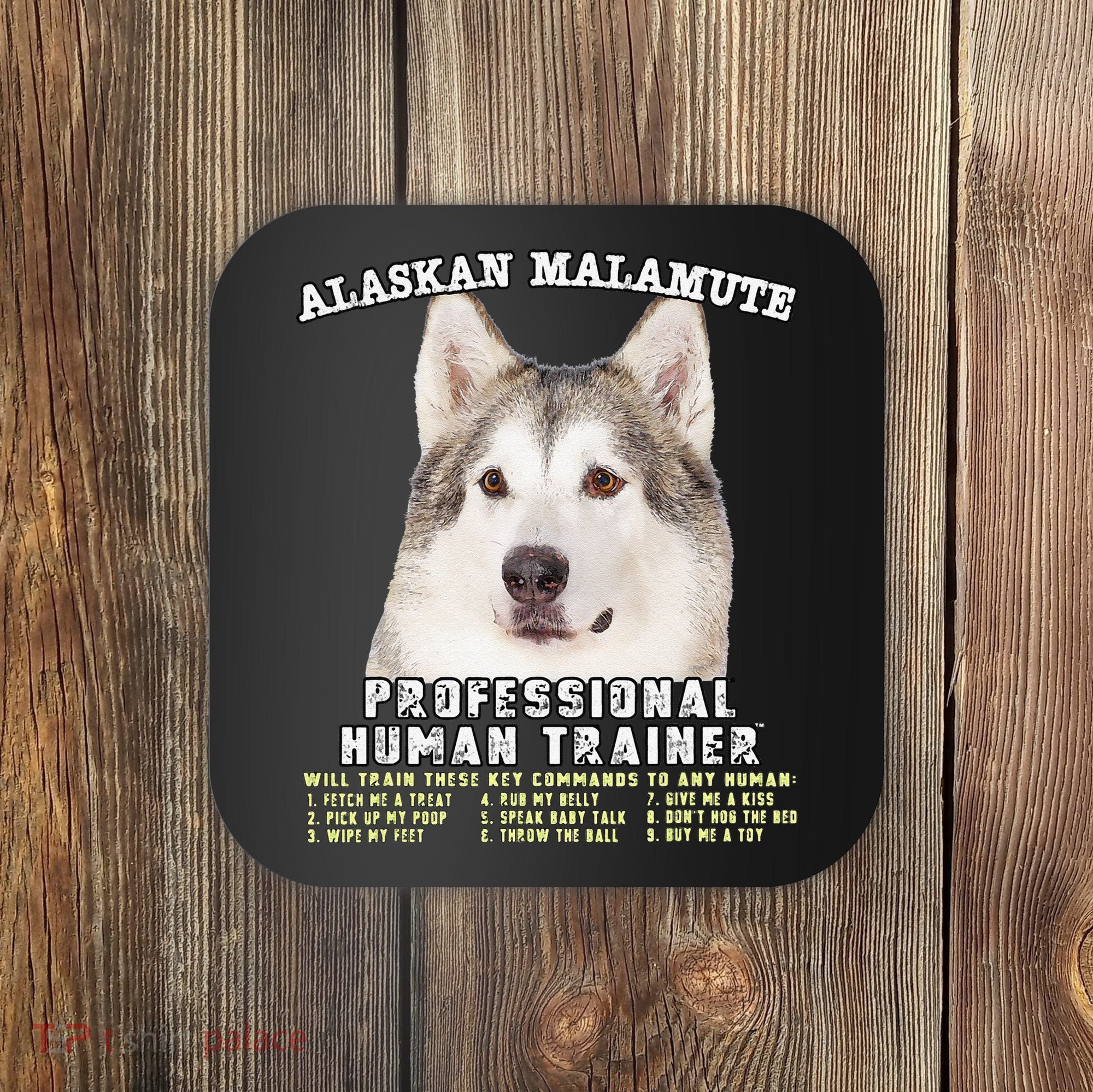 Alaskan Malamute Professional Human Trainer Cute Dog Coaster