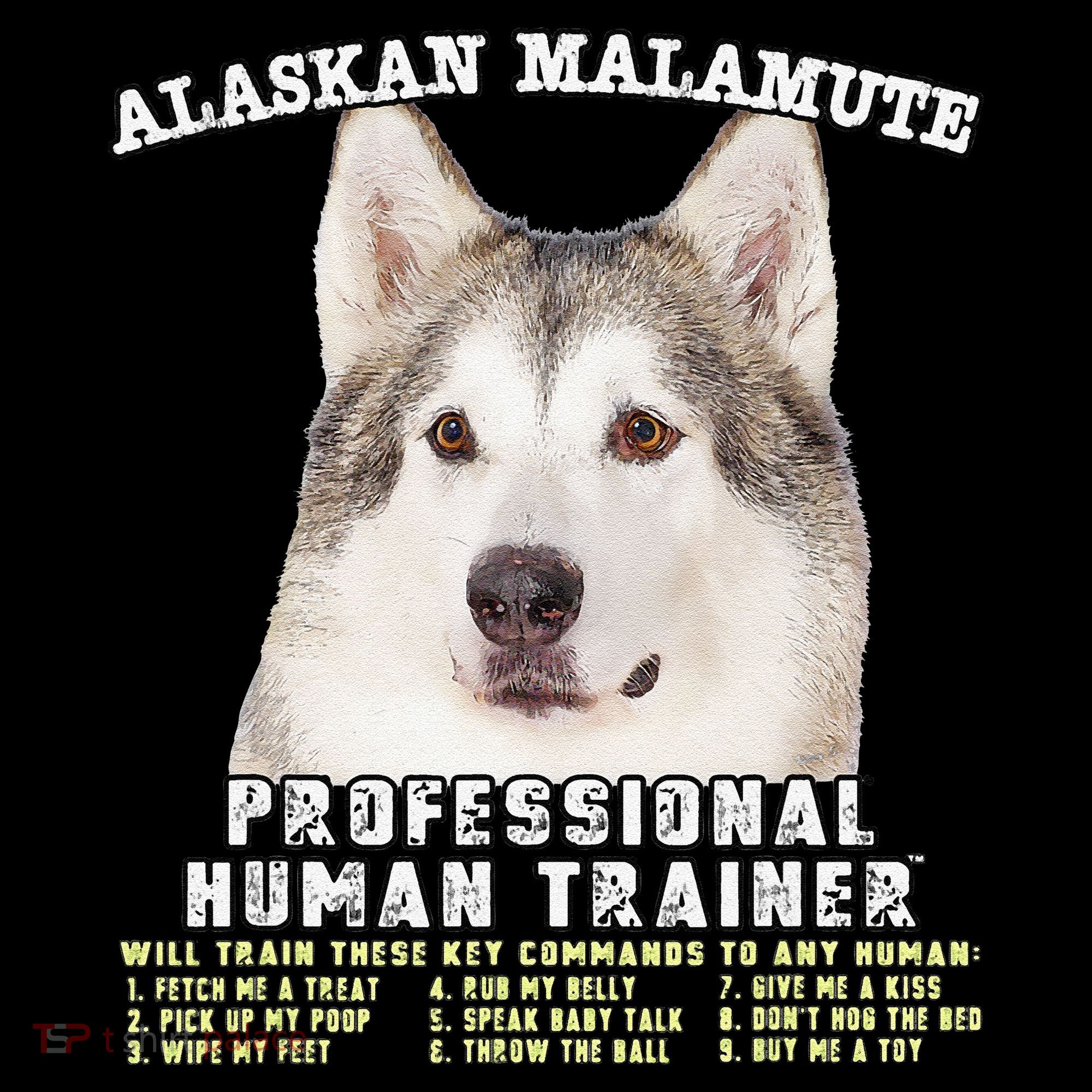 Alaskan Malamute Professional Human Trainer Cute Dog Coaster
