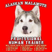 Alaskan Malamute Professional Human Trainer Cute Dog Santa Hat thumb 1