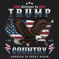 American Made Trump Merchandise Flag Trump 45 47 Hat thumb 2