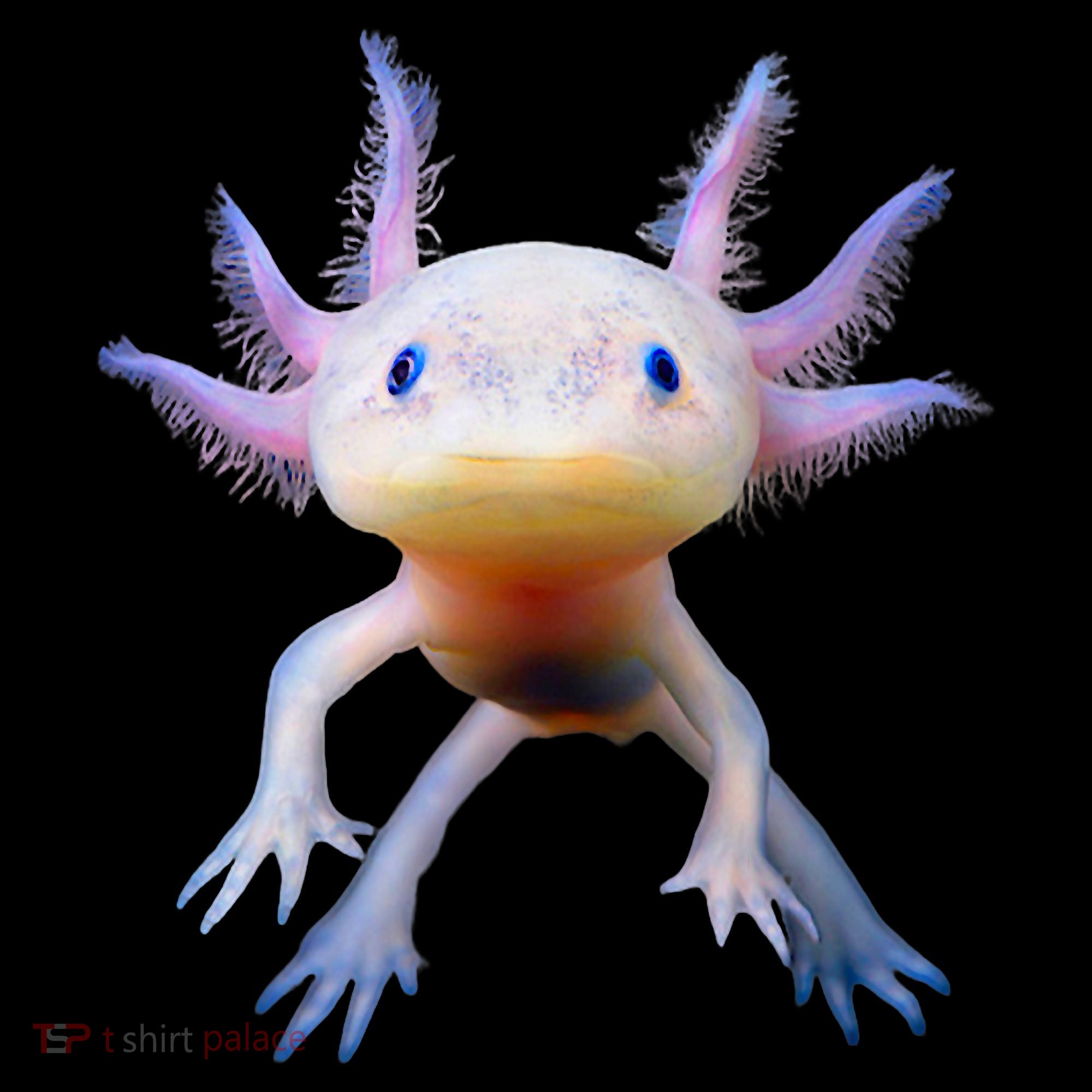 Axolotl Mexican Walking Fish Cute Amphibian Axolotl Coffee Mug