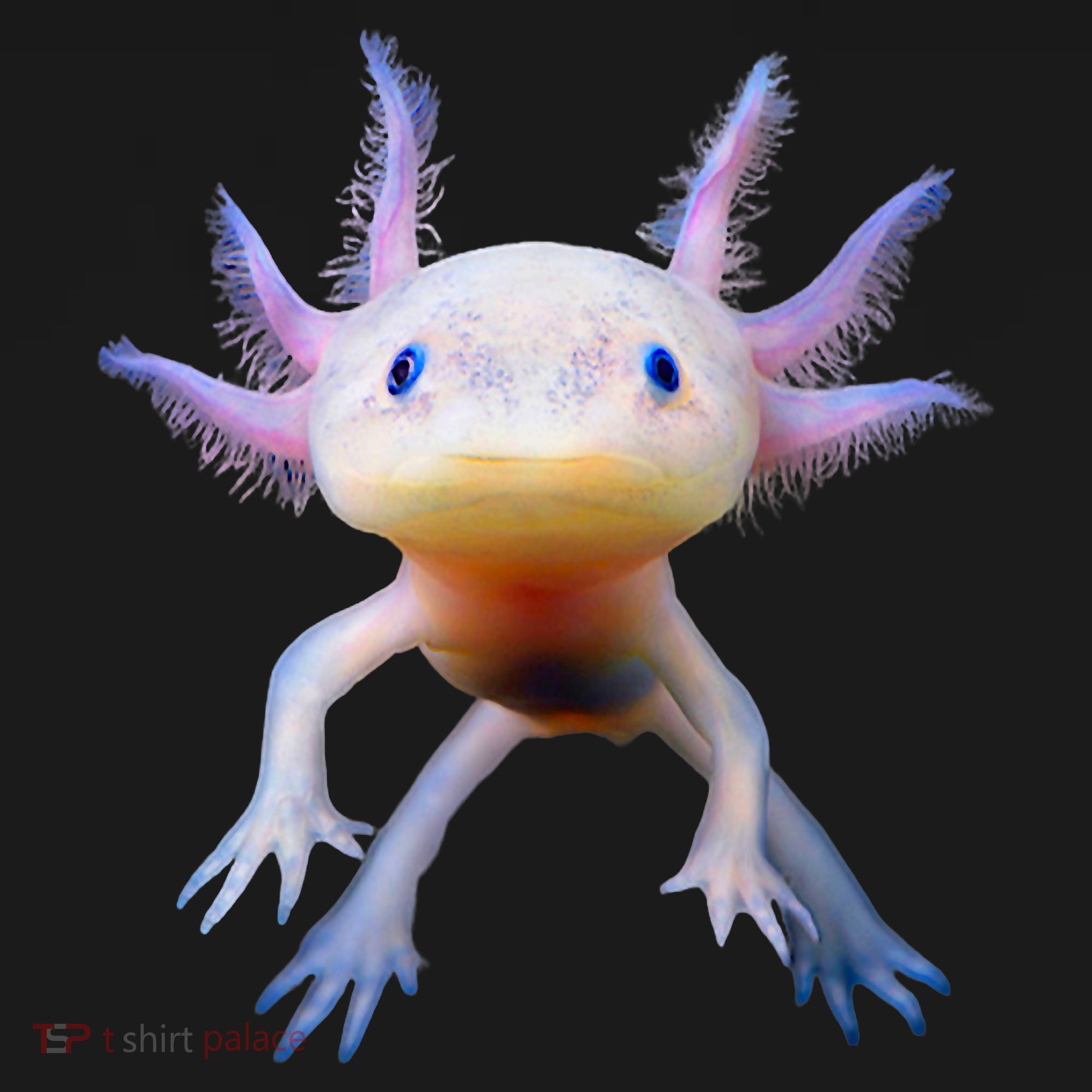 Axolotl Mexican Walking Fish Cute Amphibian Axolotl Women's Hoodie