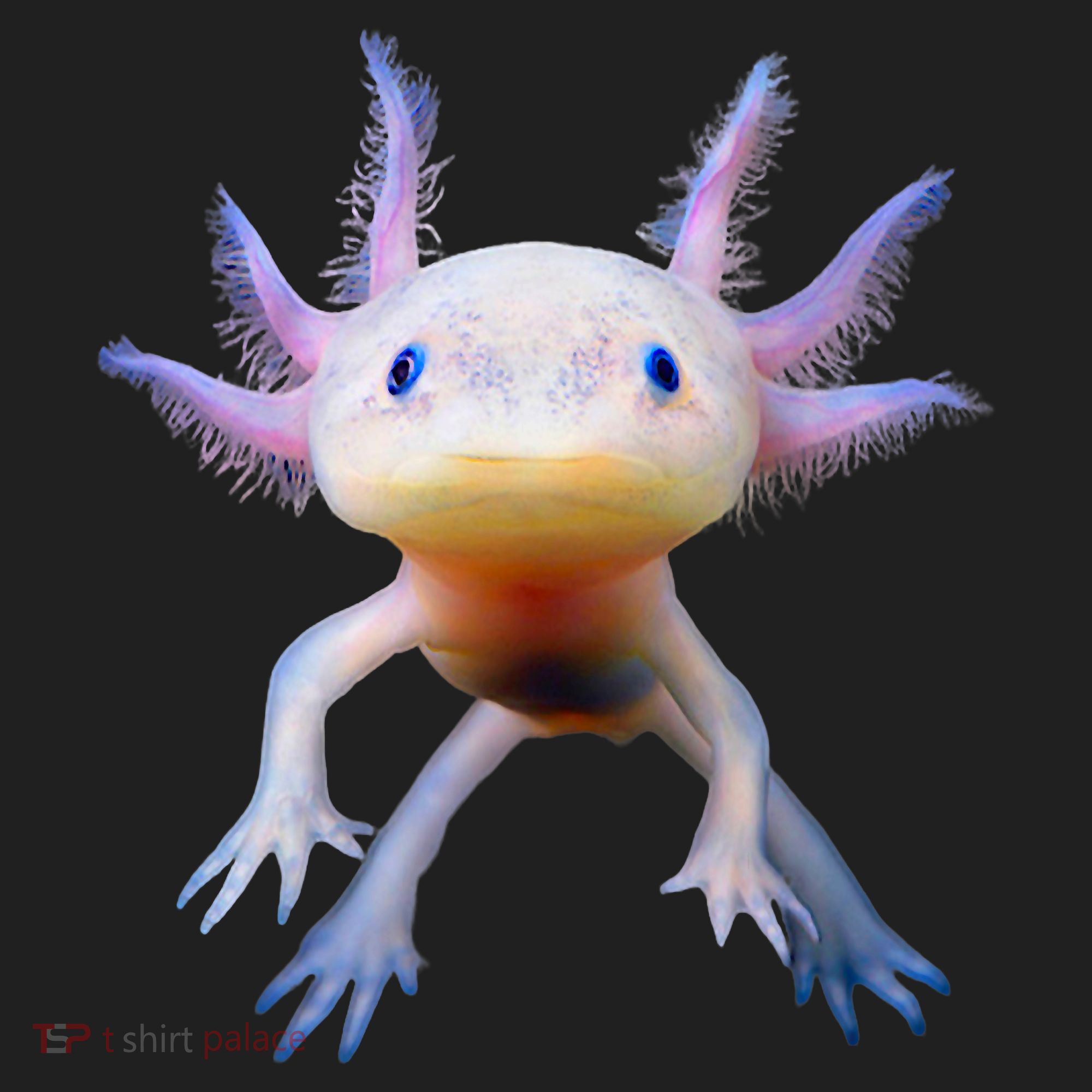 Axolotl Mexican Walking Fish Cute Amphibian Axolotl Hat