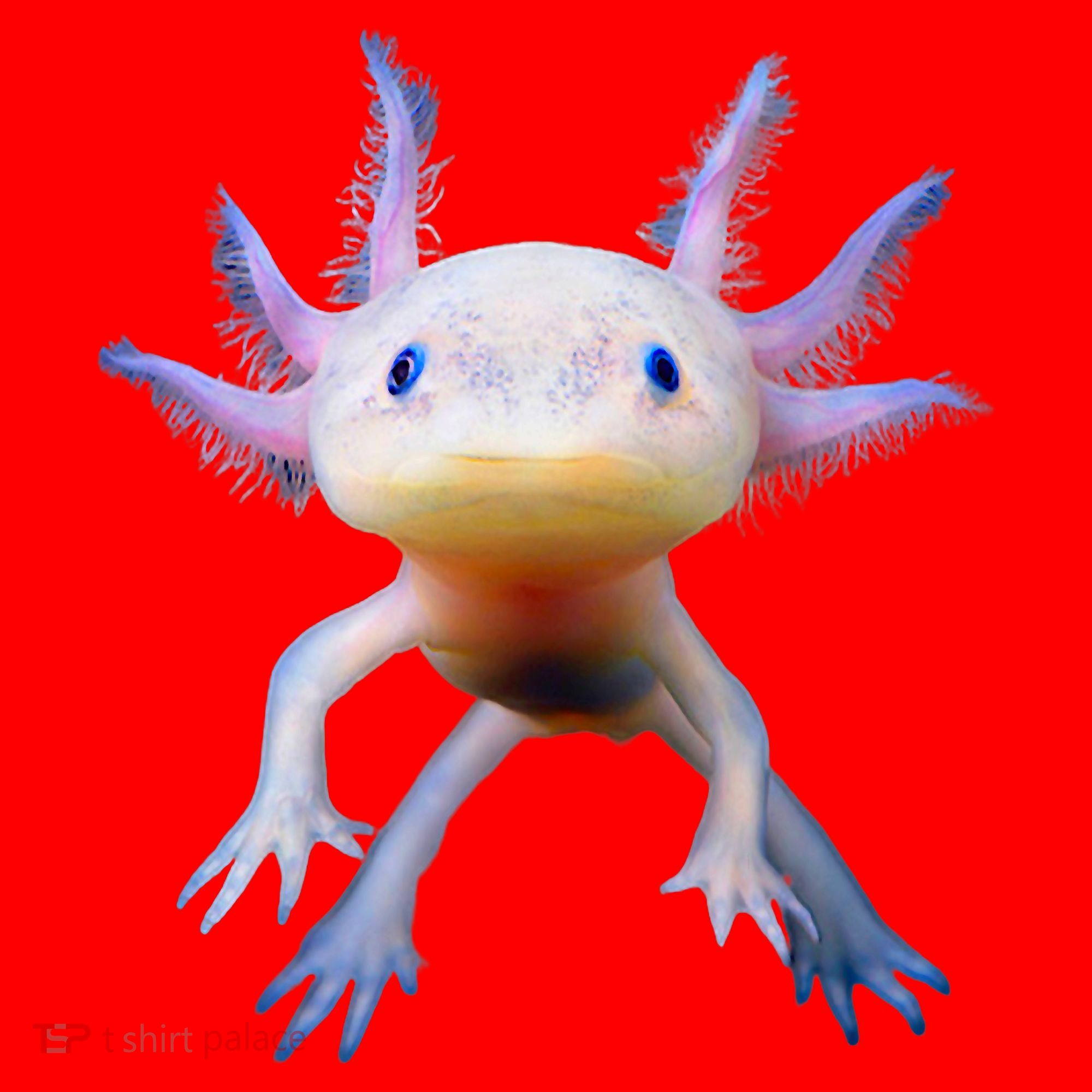 Axolotl Mexican Walking Fish Cute Amphibian Axolotl Santa Hat