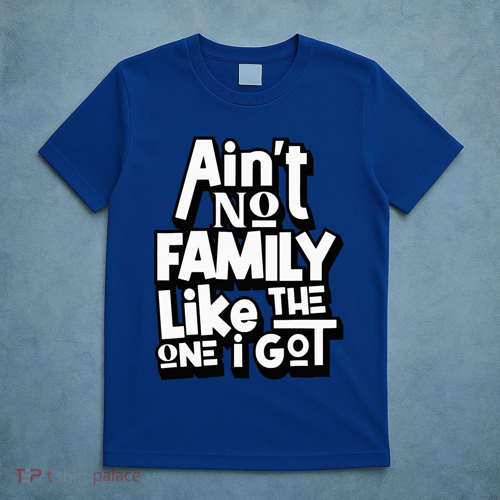 AinT No Family Like The One I Got For Family T-Shirt